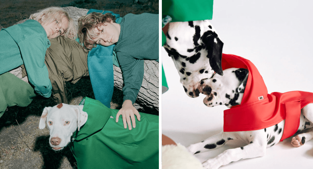 You can now get outfits for your dog at Zara