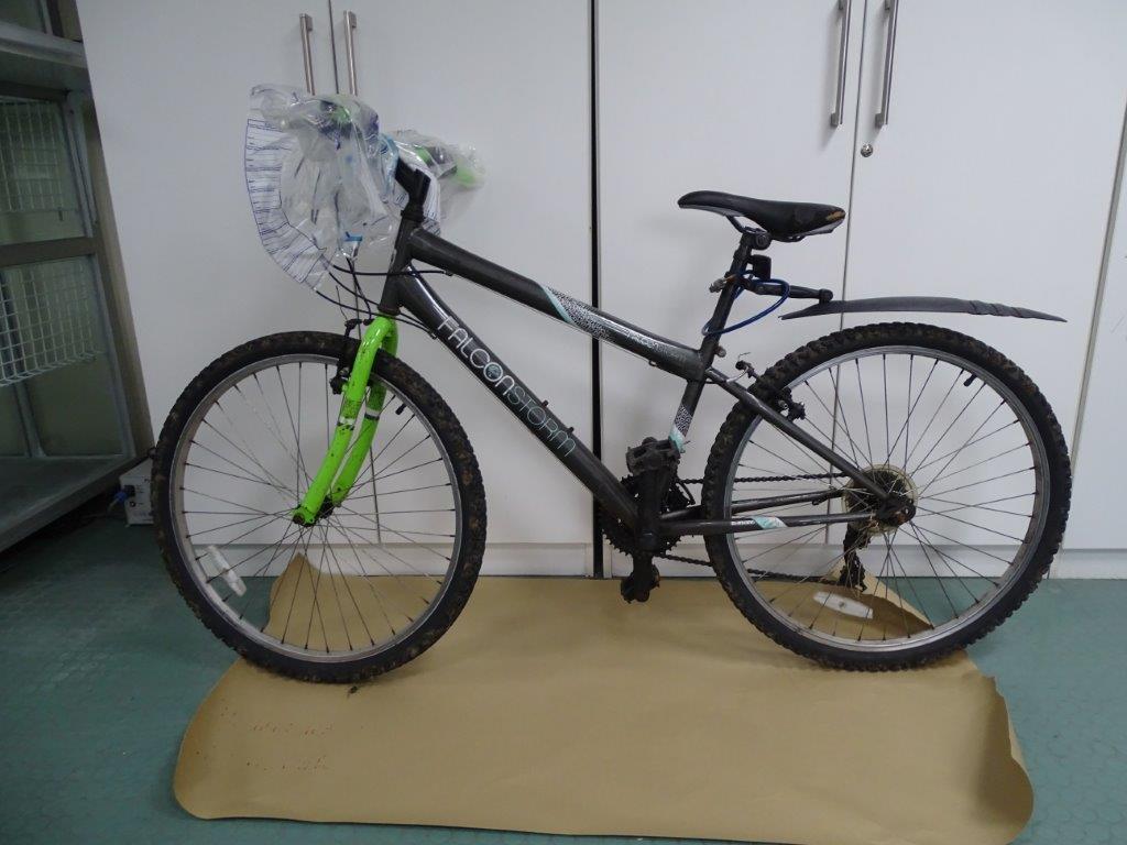 Gardaí appealing for information surrounding bike connected with murder of Ashling Murphy