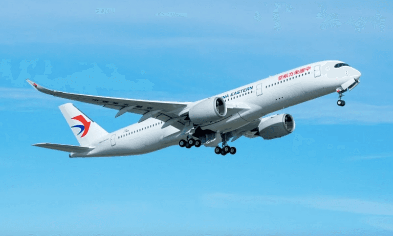 Plane carrying 133 passengers crashes in China