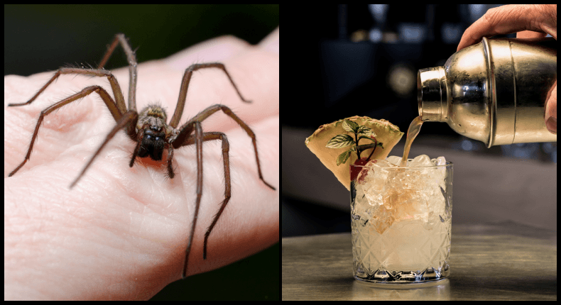 Spider in takeaway cocktail among thousands of complaints received by FSAI last year
