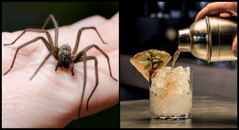 Spider in takeaway cocktail among thousands of complaints received by FSAI last year