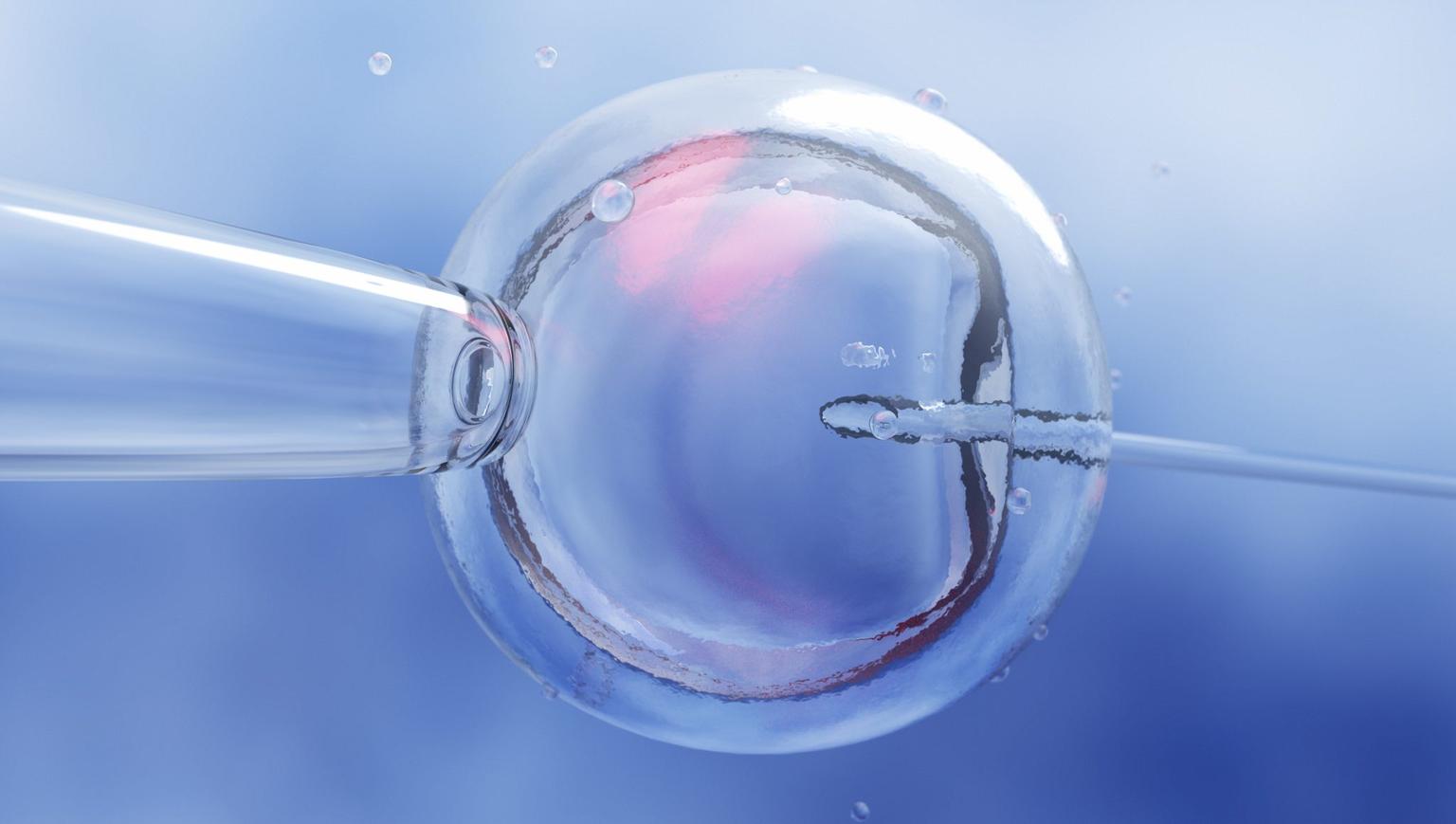 Woman sues IVF clinic after they allegedly implanted stranger’s baby