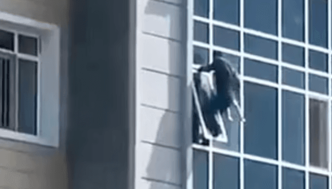 Man saves 3-year-old girl’s life as she falls from eighth floor window
