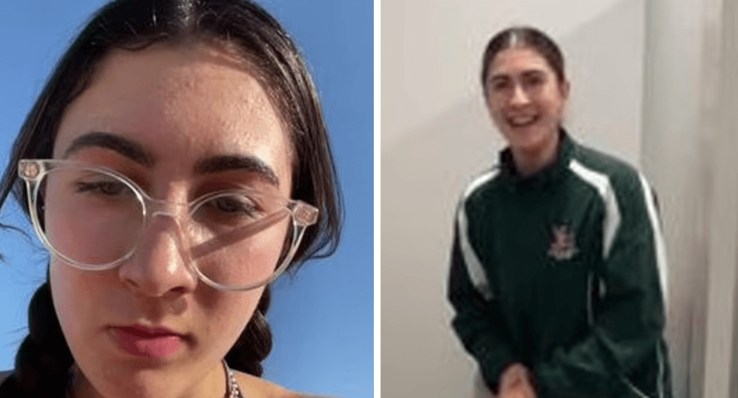 Teenager killed in shark attack after swimming with dolphins in Australia