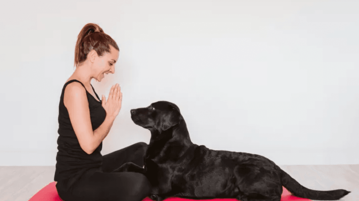The London dog yoga trend has finally landed in Dublin