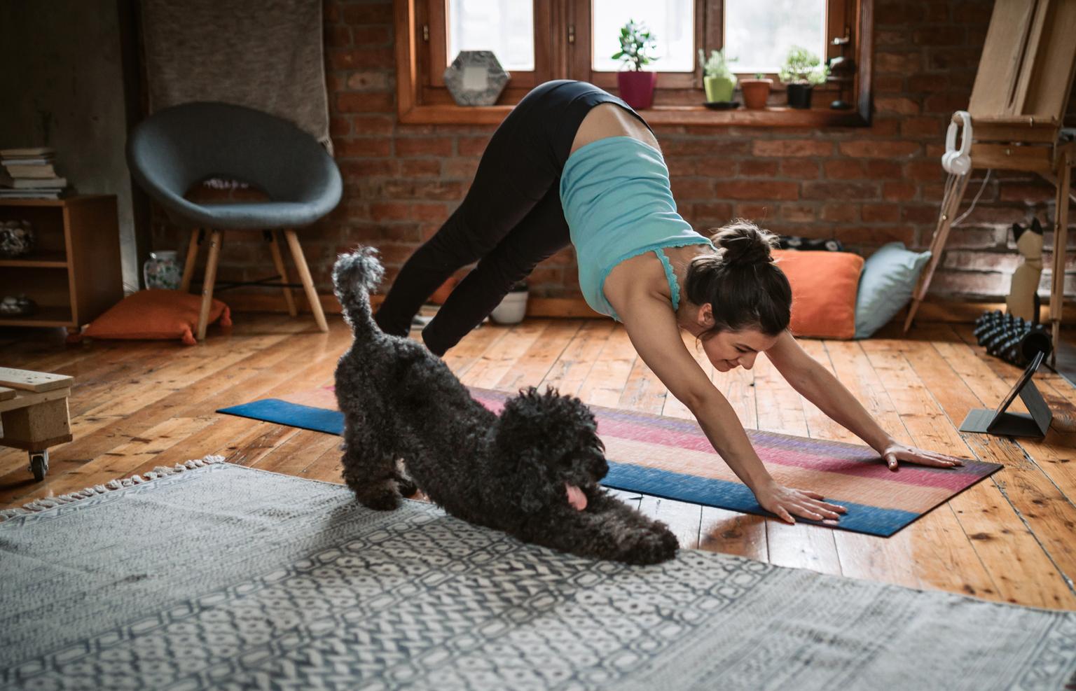 Dog yoga has landed in Dublin- but what exactly is it?
