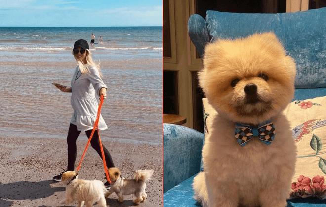 Rosanna Davison pays moving tribute after death of her dog