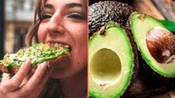 People only just realising avocados might not actually be vegan