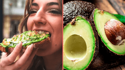 People only just realising avocados might not actually be vegan