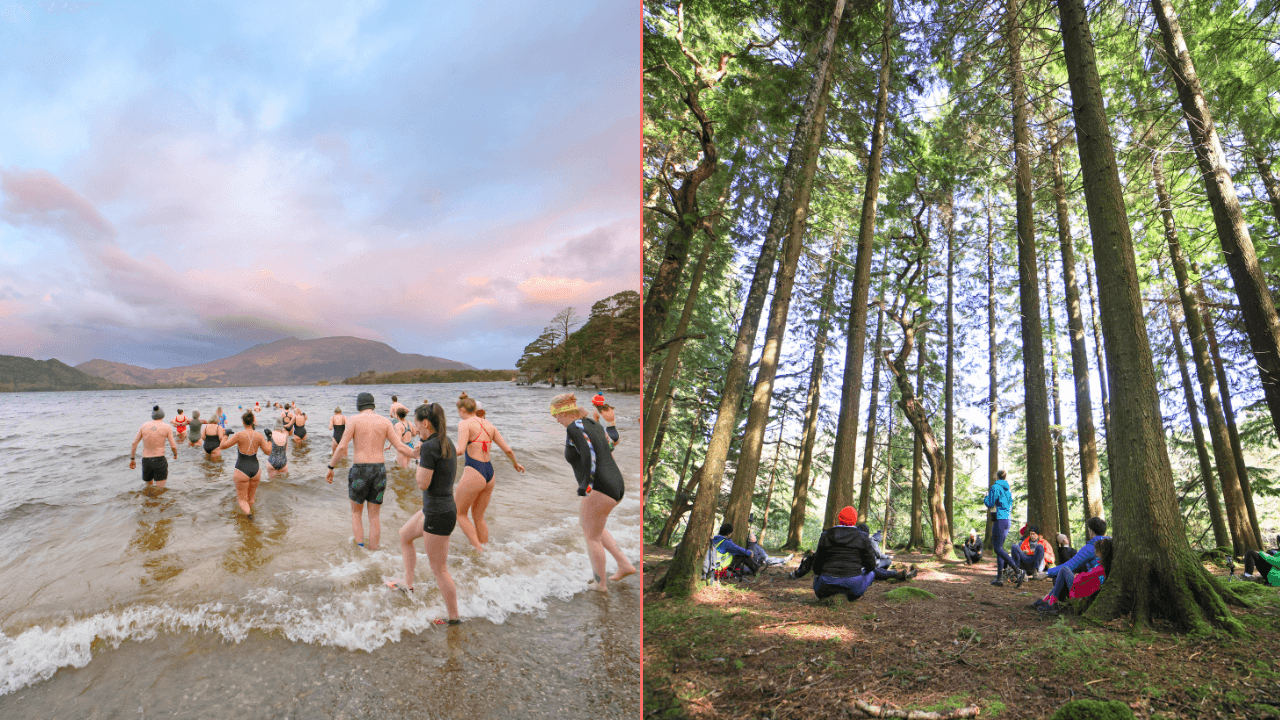 The perfect gift for the wellness, fitness, and nature lovers in your life