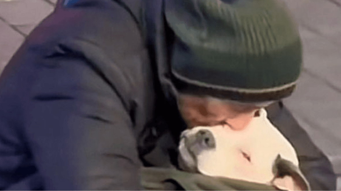Homeless man rocks his dog to sleep every night saying his dog struggles to adjust to homelessness