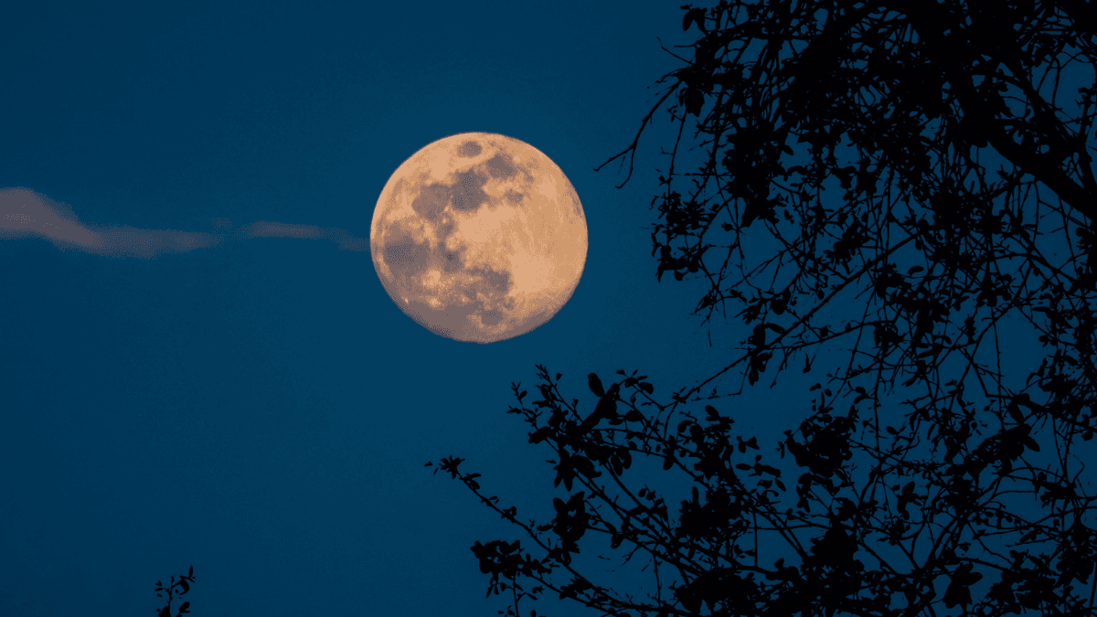 ‘Brightest and biggest’ Beaver supermoon to be visible in Irish skies tonight