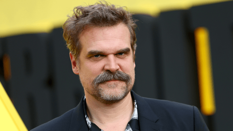 David Harbour says he ‘fell in love’ with Stranger Things co-star on set