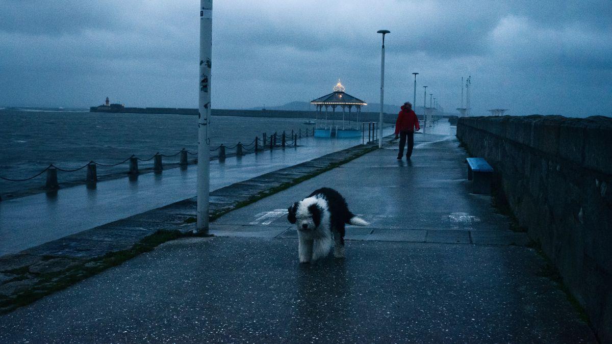 Nearly all of Ireland hit with Orange weather warnings over Storm Bram