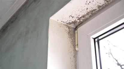 ‘Impressive’ device makes ‘huge difference’ to damp and mould – and doesn’t cost a penny to run