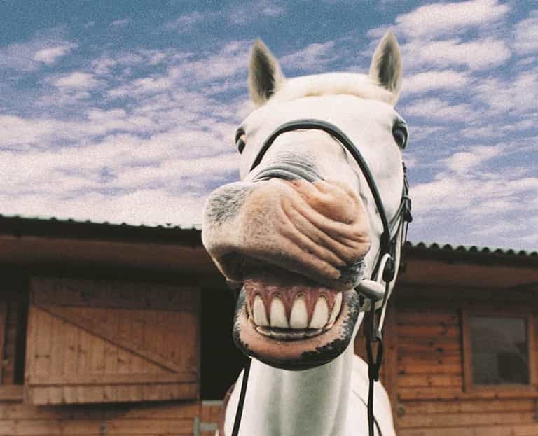 Are You Off to the Races This Summer? Are You Off to the Races This Summer?