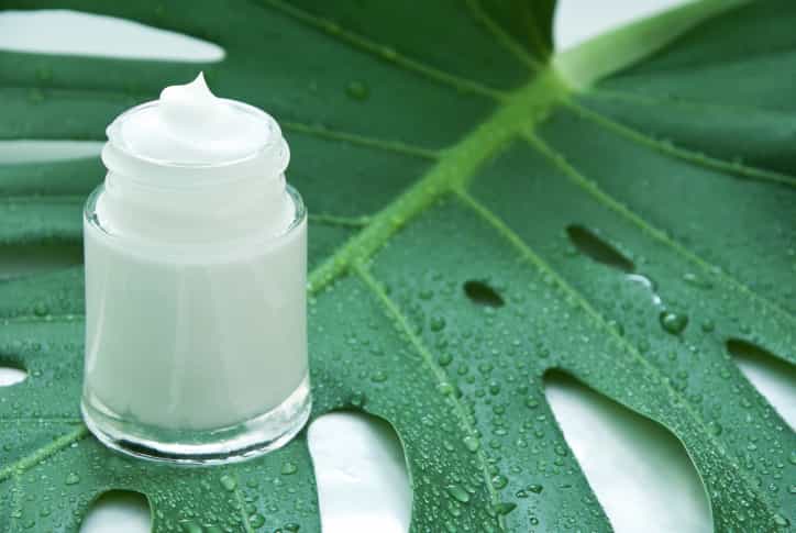 Embracing the Green: The Rise of Organic Beauty Embracing the Green: The Rise of Organic Beauty