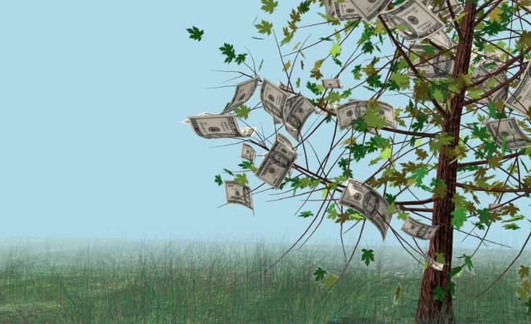 Money Really Does Grow On Trees as Cambodians Flock to a Magic Log Money Really Does Grow On Trees as Cambodians Flock to a Magic Log