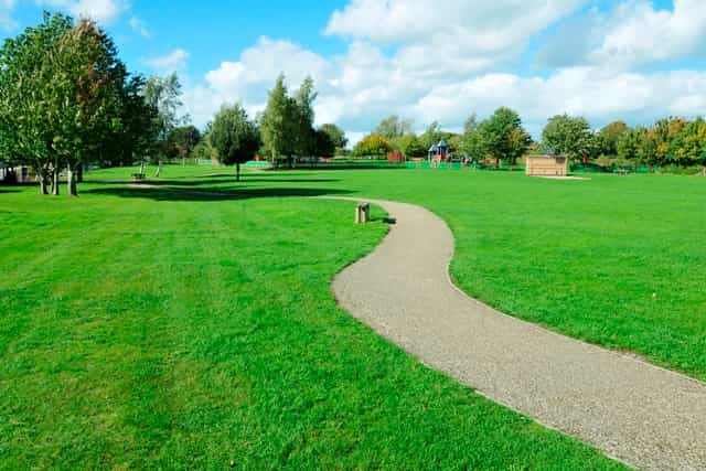 Feeling Good: It’s As Easy As A Walk In The Park Feeling Good: It’s As Easy As A Walk In The Park