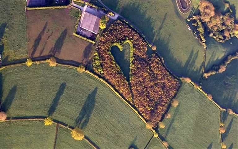 Farmer Makes Amazing Heart Memorial for his Late Wife Farmer Makes Amazing Heart Memorial for his Late Wife