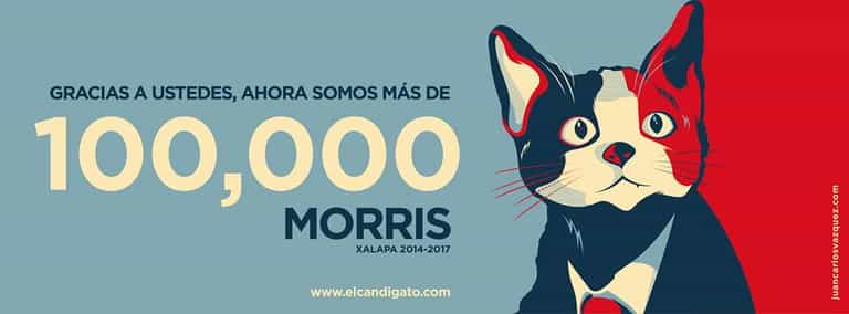 “Tired of Voting for Rats? Vote for a Cat!” Furry Feline Stands For Election in Mexico “Tired of Voting for Rats? Vote for a Cat!” Furry Feline Stands For Election in Mexico