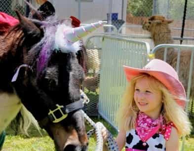 This Exists: How to Turn Your Horse into a Unicorn in One Easy Step This Exists: How to Turn Your Horse into a Unicorn in One Easy Step