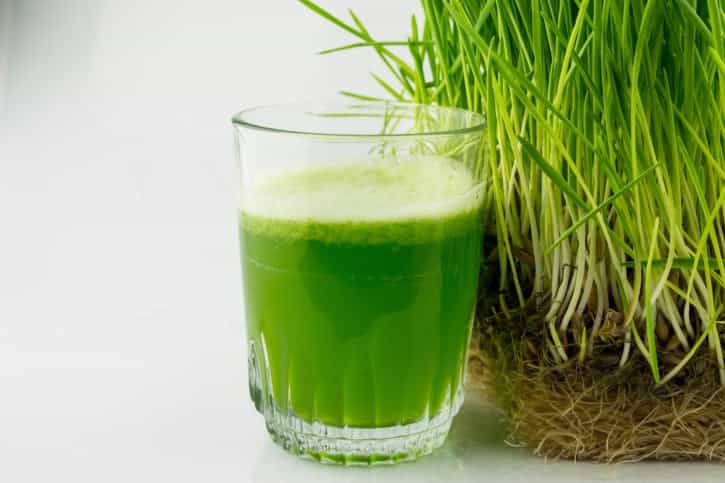 Going Green! Kickstart Your Morning With This Delicious Wheatgrass Juice Going Green! Kickstart Your Morning With This Delicious Wheatgrass Juice