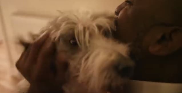 WATCH: This Touching Video Supporting Dog Adoption Warmed Our Hearts WATCH: This Touching Video Supporting Dog Adoption Warmed Our Hearts