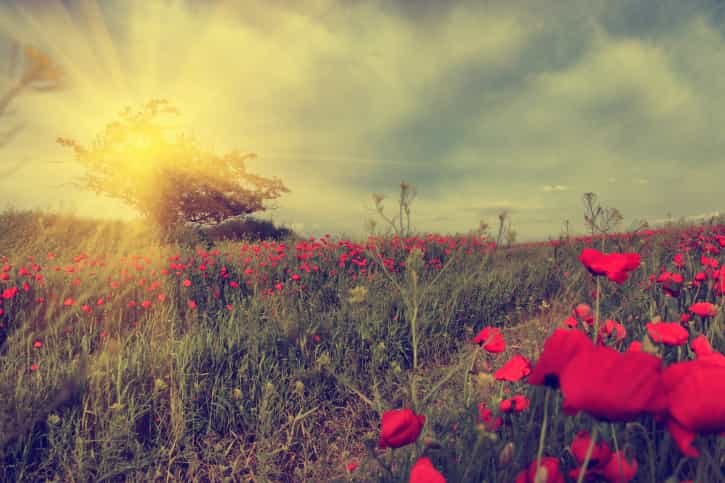 “Everything Has Its Wonders” – 12 Life Lessons from One Incredible Woman “Everything Has Its Wonders” – 12 Life Lessons from One Incredible Woman