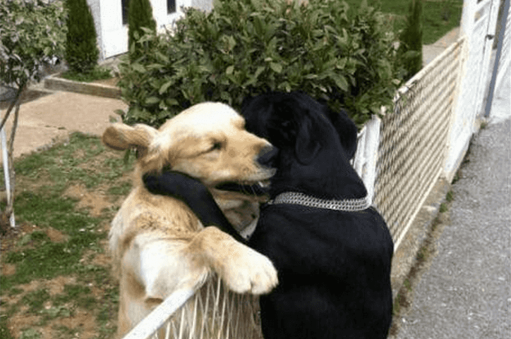 Heart Touching Pics: One ADORABLE Twitter Account That Is Definitely Worth A Follow Heart Touching Pics: One ADORABLE Twitter Account That Is Definitely Worth A Follow