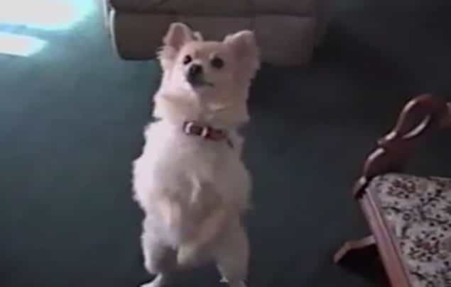 That’s Gas: The Funniest Video We’ve Seen This Week That’s Gas: The Funniest Video We’ve Seen This Week