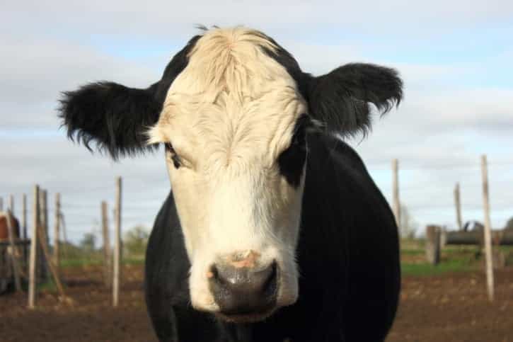 PICTURE: A Very Different “Date Night” in Mayo PICTURE: A Very Different “Date Night” in Mayo