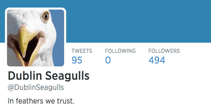 Dublin Seagulls: One Hilarious Twitter Account That Is Definitely Worth A Follow Dublin Seagulls: One Hilarious Twitter Account That Is Definitely Worth A Follow