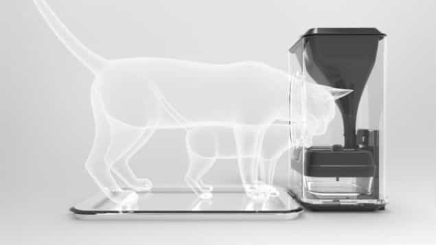 Cats Are About To Miss Out On Second Helpings – New Pet Feeder To Release Food On Facial Recognition Cats Are About To Miss Out On Second Helpings – New Pet Feeder To Release Food On Facial Recognition