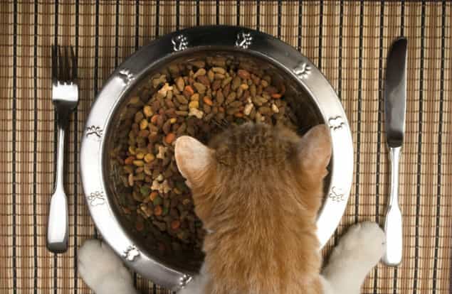 Barking Mad: Pet Shop Owner Vows To Only Eat Cat And Dog Food For 30 Days Barking Mad: Pet Shop Owner Vows To Only Eat Cat And Dog Food For 30 Days
