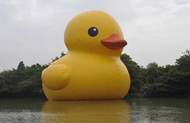 Have You Seen This Giant Duck? It’s Gone Missing In China Have You Seen This Giant Duck? It’s Gone Missing In China