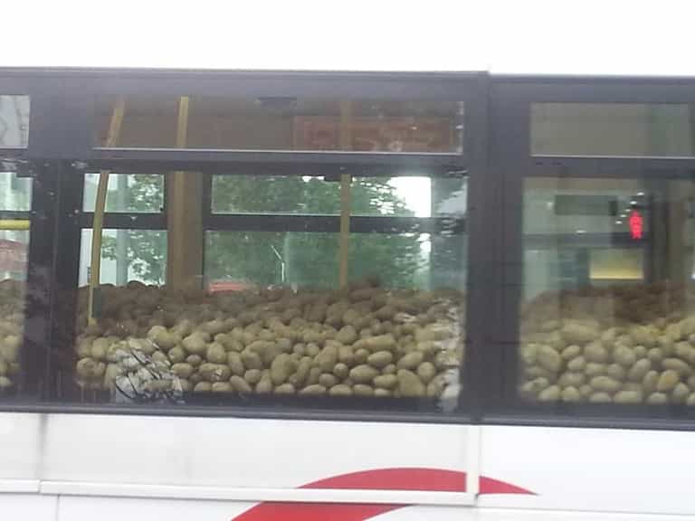 PICTURE: There is a Bus Full of Potatoes Driving Around Limerick Right Now… PICTURE: There is a Bus Full of Potatoes Driving Around Limerick Right Now…