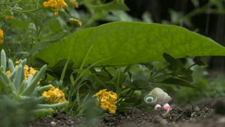 VIDEO: Marcel The Shell With The Shoes On is Back! VIDEO: Marcel The Shell With The Shoes On is Back!