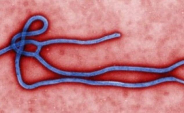 Ebola Case Confirmed In Glasgow Ebola Case Confirmed In Glasgow