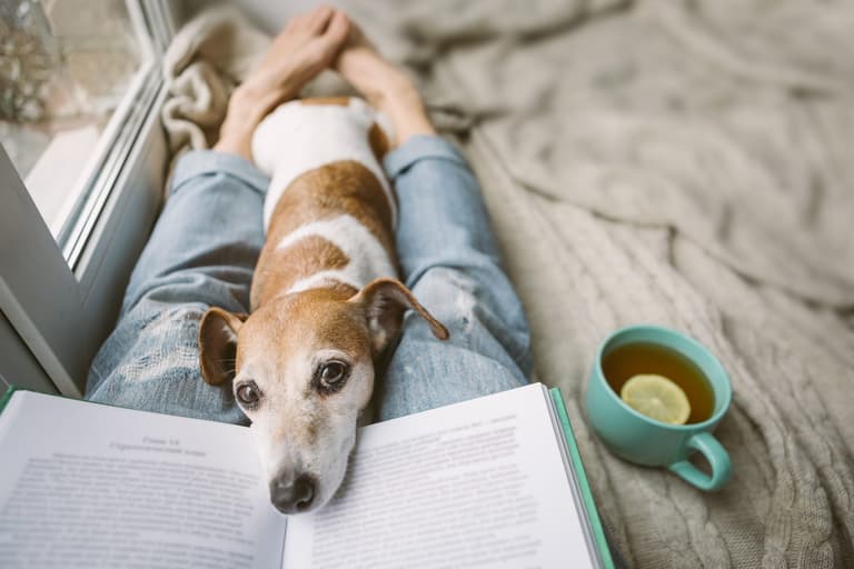 17 new books to add to your must-read list this February 17 new books to add to your must-read list this February