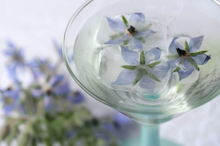 M&S is selling edible flowers now, ideal for your summer cocktails M&S is selling edible flowers now, ideal for your summer cocktails