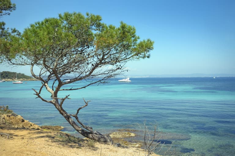 Irish woman tragically drowns in the south of France Irish woman tragically drowns in the south of France