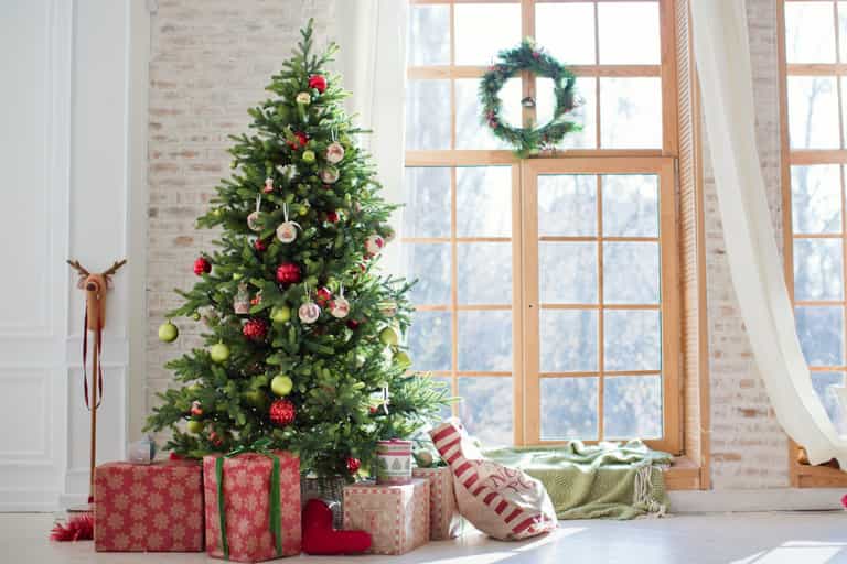 5 stunning and affordable trees that will bring some festive spirit to your home this Christmas 5 stunning and affordable trees that will bring some festive spirit to your home this Christmas