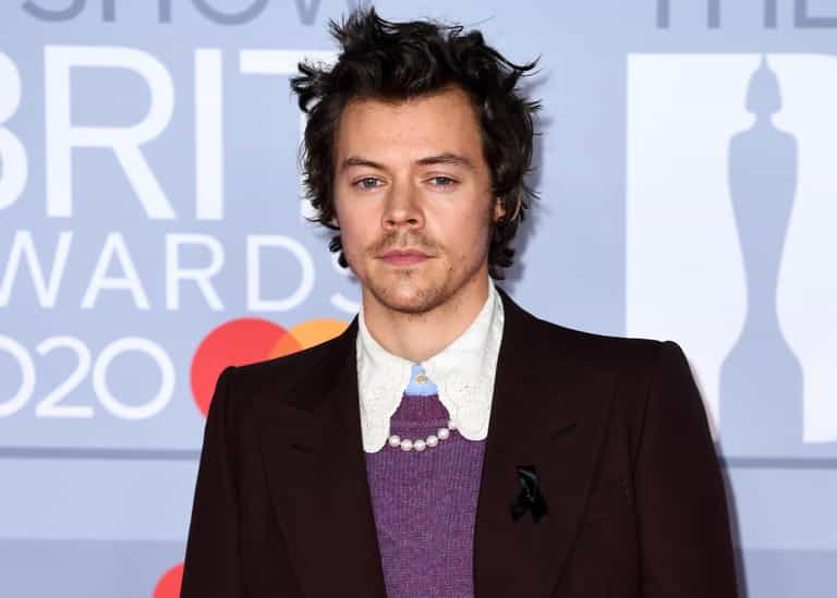 Harry Styles’ stalker charged after allegedly breaking into his home Harry Styles’ stalker charged after allegedly breaking into his home