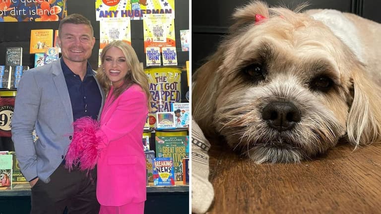 Brian O’Driscoll brings the wrong dog home from the groomers Brian O’Driscoll brings the wrong dog home from the groomers