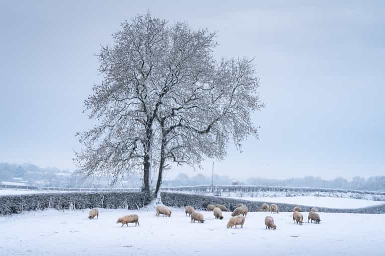 It doesn’t look like we’ll be getting a white Christmas this year It doesn’t look like we’ll be getting a white Christmas this year
