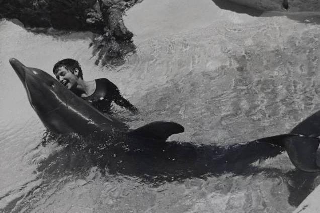 Researcher Speaks Out About Her Sexual Experiences With A Dolphin