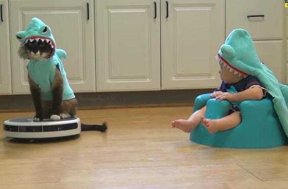 VIDEO – SharkCat Entertains SharkBaby. That Is All VIDEO – SharkCat Entertains SharkBaby. That Is All
