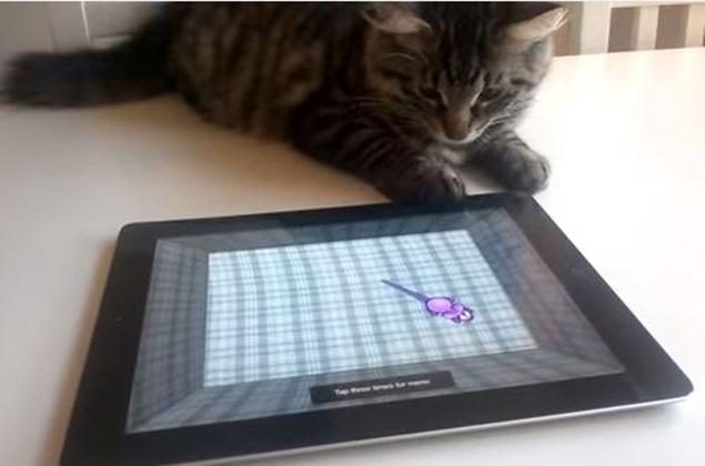 That’s Gas: The Funniest Video We’ve Seen This Week