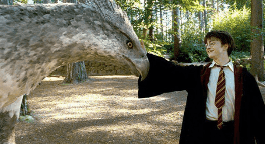 BBC are making a new Harry Potter-themed nature documentary BBC are making a new Harry Potter-themed nature documentary
